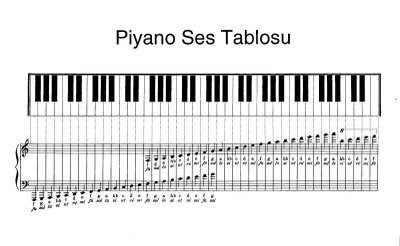 piyano-tus-duzeni-ve-oktavlari-piyano-ve-tuslarin-gorunumu-piyano-nedir-ne-demek-cesitleri-piyanist-piyanolar-nota-piano-tus