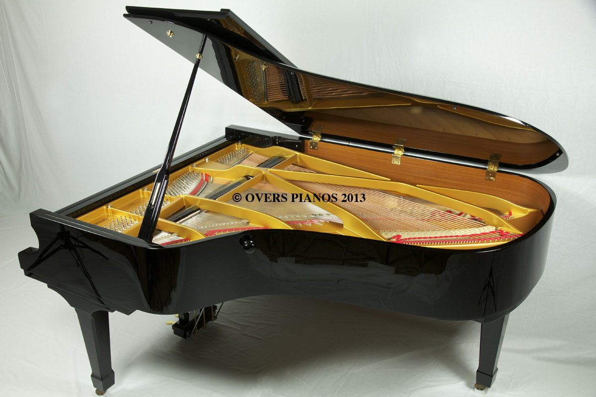 Kuyruklu Piyano Ana Grand Music Klasik Müzikler Tablo Hakkında Bilgiler Çalgı Enstrüman Ev Oda Çal Nedir Bilgi Sözlük Pianist Piyanolar Konser Dinle