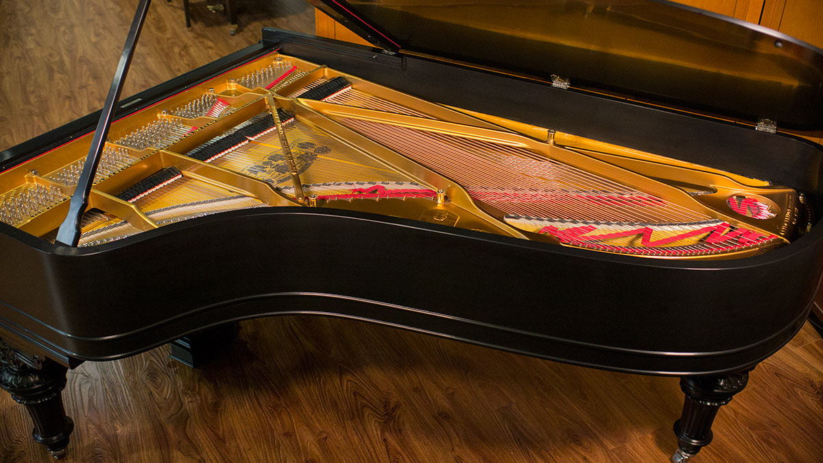 PİYANO BAKIM FİYATLARI Grand Kuyruklu Piyano Tepeden Teller Görünüş Büyük Ana Konser Piyanosu çalgısı Enstrümanlar Bilgi Tel üst Bakış